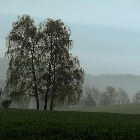 Landhotel Windlicht Krombach  Экстерьер фото