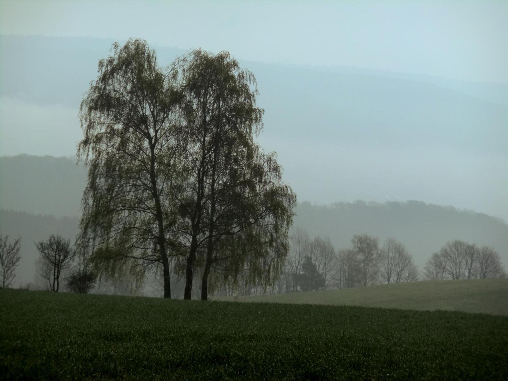 Landhotel Windlicht Krombach  Экстерьер фото